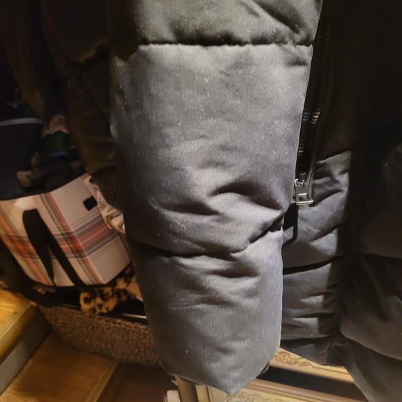 Jacket - Picture 3 of 16